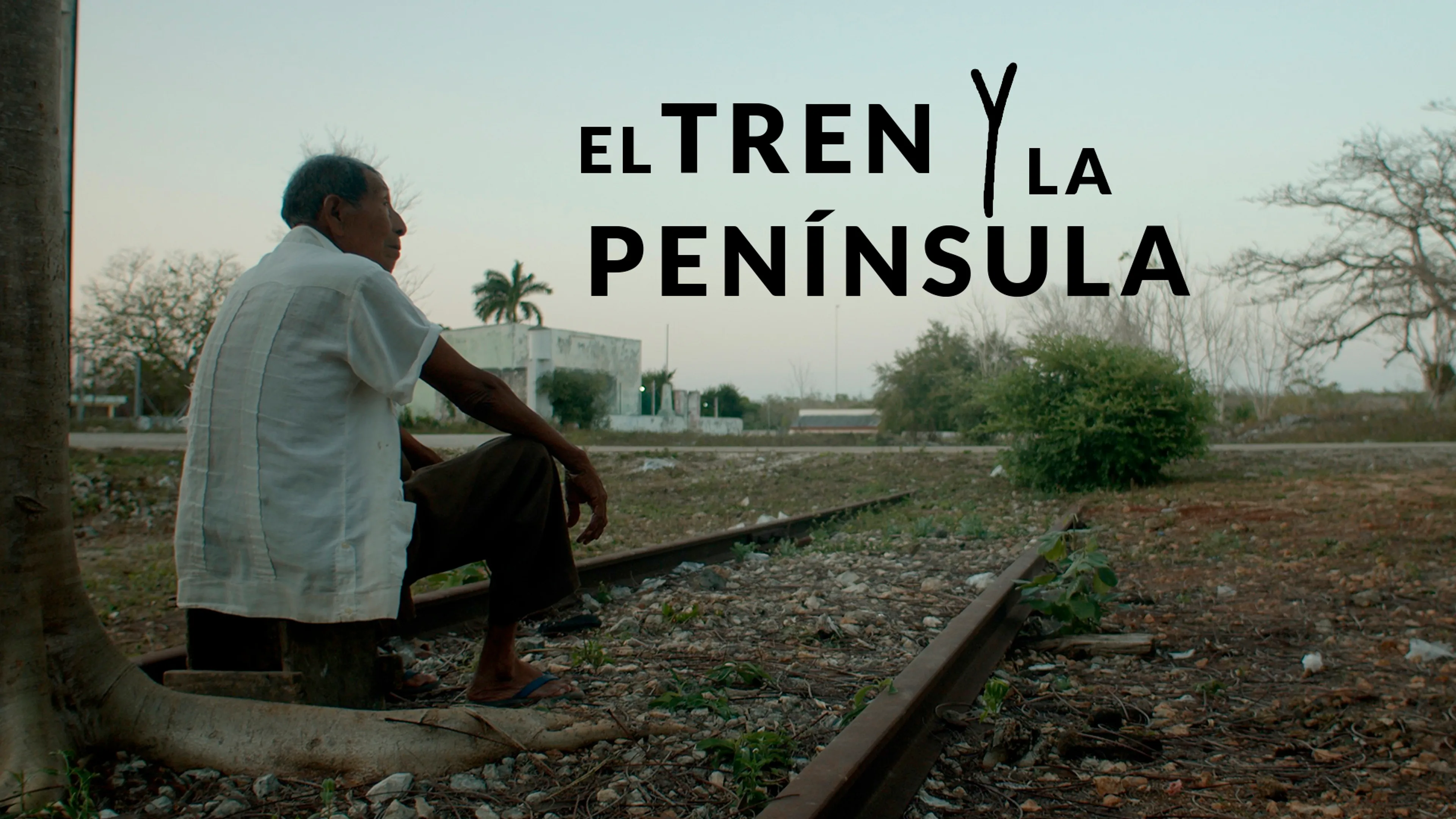 El Tren y la Península poster